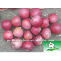 Fresh Qinguan Apples